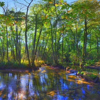 Rando_Les sources et Marais Divonne les bains_C