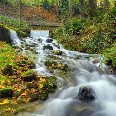 Rando_Les sources et Marais Divonne les bains_