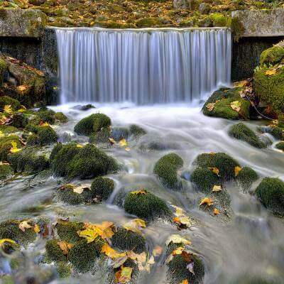 Randonnée les Sources et Marais de Divonne - vue 2