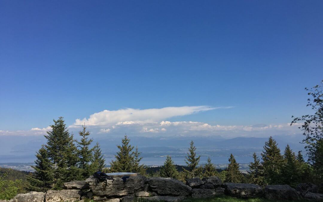Vue dégagée sur le lac Léman et les Alpes depuis une barre rocheuse bordée de sapins, sur les crêtes du Jura.