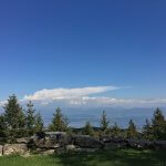 Vue dégagée sur le lac Léman et les Alpes depuis une barre rocheuse bordée de sapins, sur les crêtes du Jura.