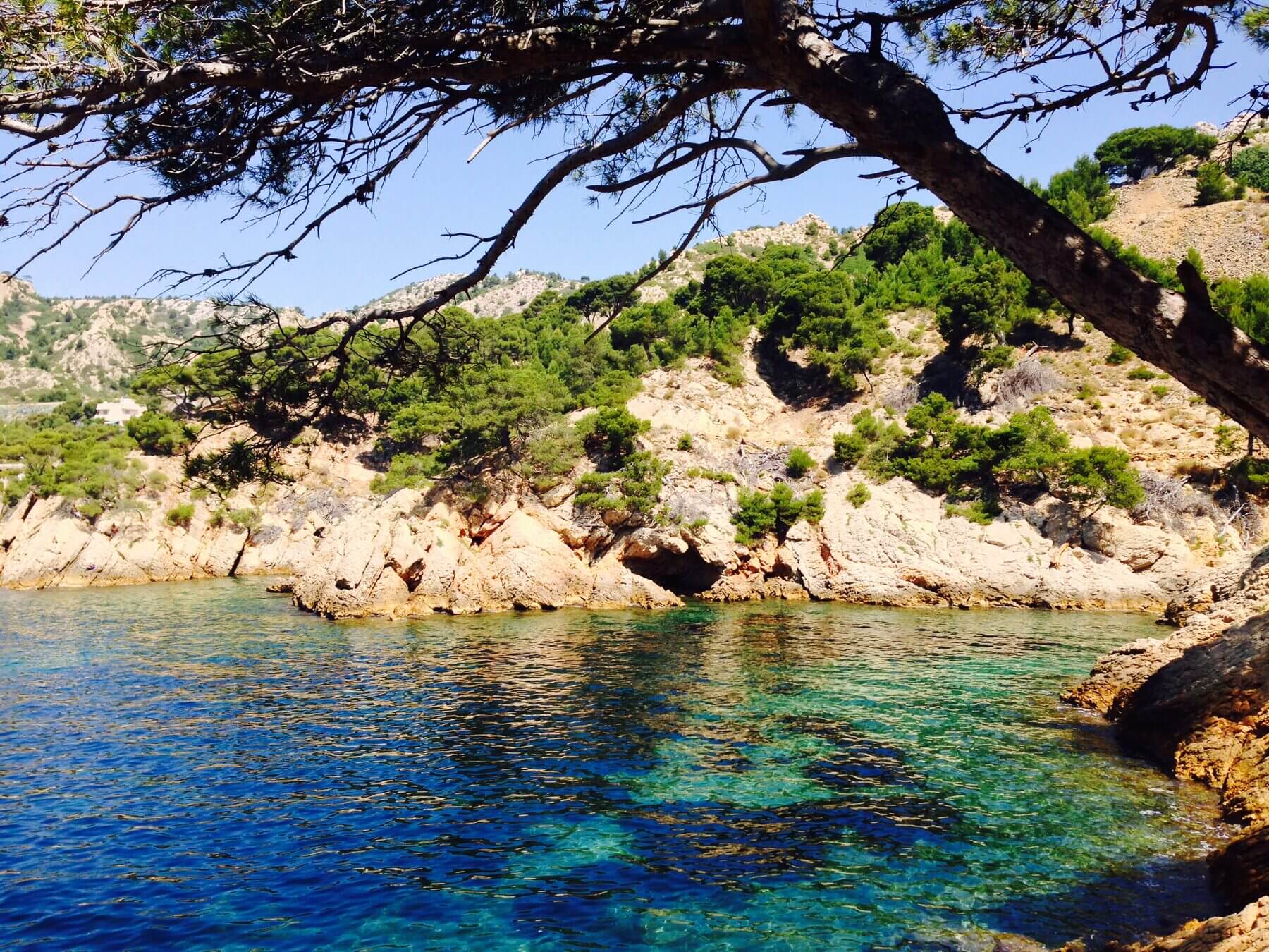Crique turquoise sous les pins
