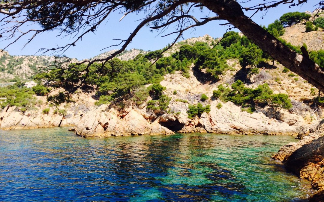 Calanque sauvage de la Côte Bleue, eau turquoise bordée de pins d'Alep, avec l'entrée sombre de la grotte Émeraude dans la falaise calcaire.