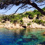 Calanque sauvage de la Côte Bleue, eau turquoise bordée de pins d'Alep, avec l'entrée sombre de la grotte Émeraude dans la falaise calcaire.