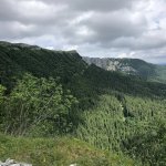 Sous-bois du Jura, crête boisée et barre rocheuse entre les arbres