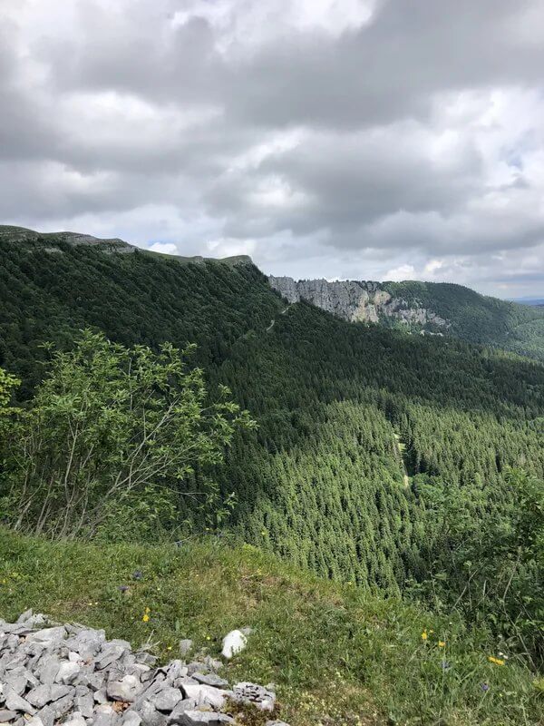 Jura woodland, wooded ridge and rocky band between the trees