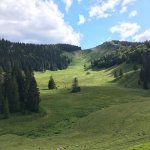 Combe pastorale du Pays de Gex au pied du Noirmont