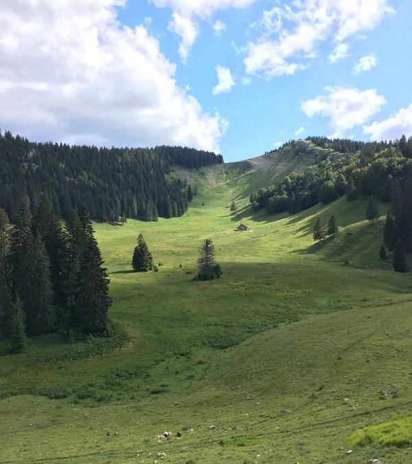 Combe pastorale du Pays de Gex au pied du Noirmont