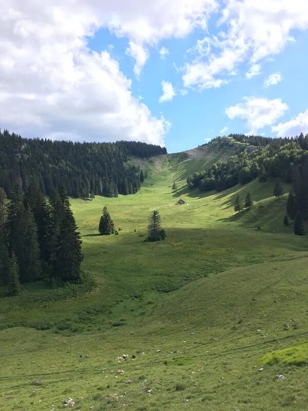 Combe pastorale du Pays de Gex au pied du Noirmont