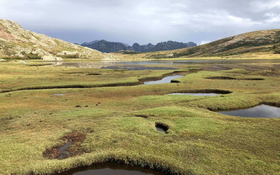 Lac de Nino et ses pozzines, point d'eau emblématique du GR20 en Corse
