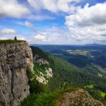 Belvédère du Jura surplombant une falaise boisée avec un sapin isolé face aux montagnes