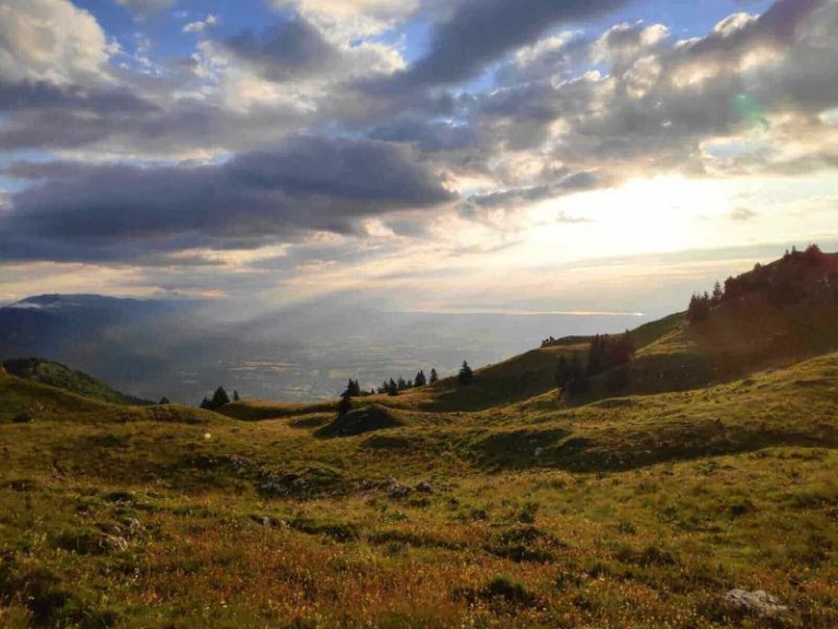 Alpages du Jura baignés d'une lumière rasante en fin de journée