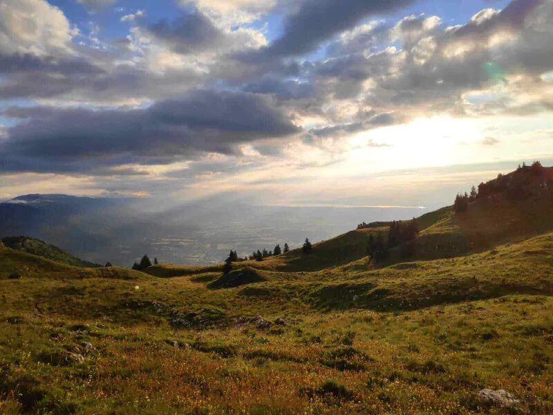 Alpages du Jura baignés d'une lumière rasante en fin de journée
