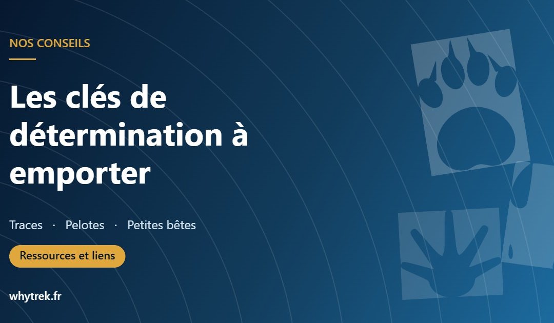 Clés de détermination à emporter en randonnée, traces, pelotes et petites bêtes