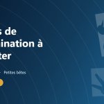 Clés de détermination à emporter en randonnée, traces, pelotes et petites bêtes