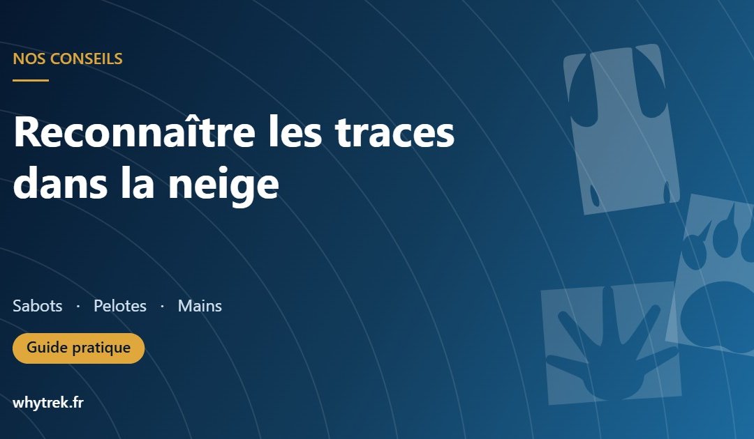 Silhouettes d’empreintes d’animaux, reconnaître les traces dans la neige dans le Jura