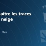 Silhouettes d’empreintes d’animaux, reconnaître les traces dans la neige dans le Jura
