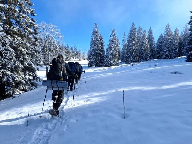 Randonneurs en raquettes de dos, montant dans une forêt de sapins enneigés sous un ciel bleu.