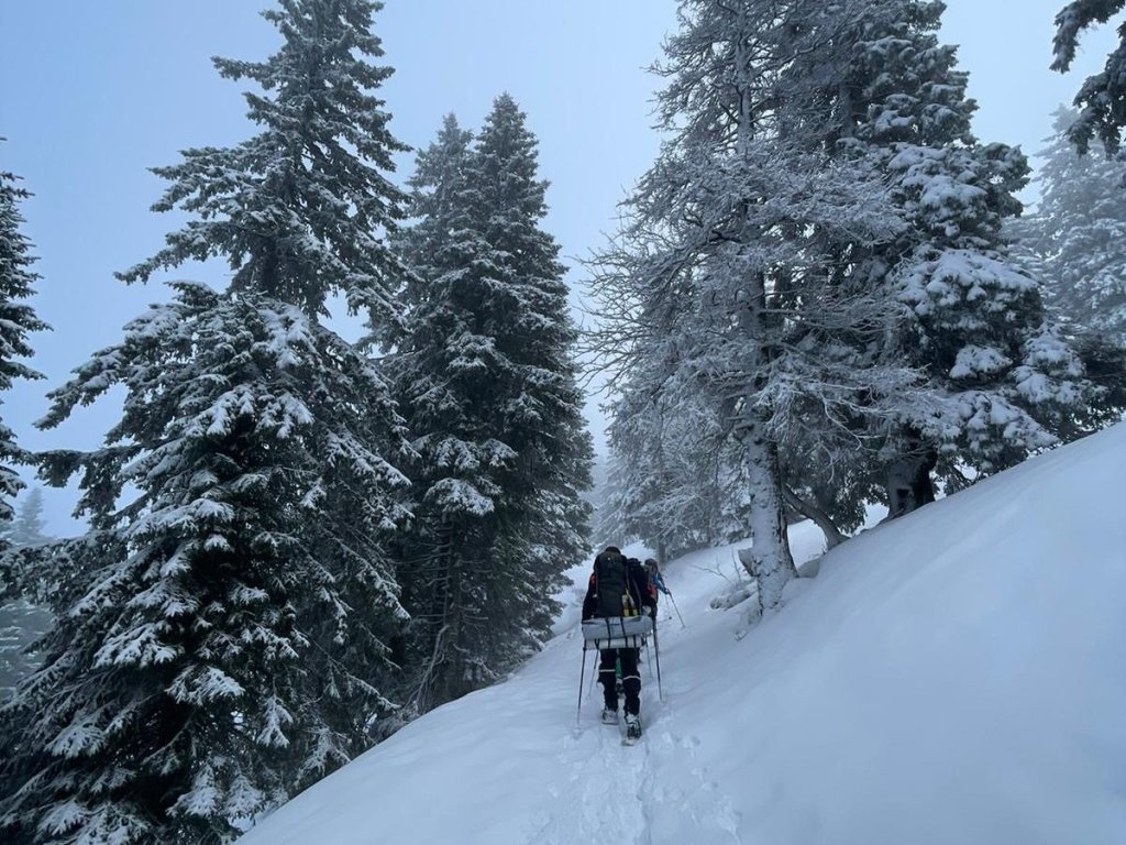 Deux randonneurs en raquettes au loin, sur un sentier dans une forêt de sapins givrés.