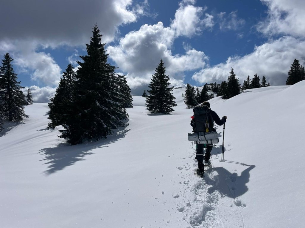 Randonneur en raquettes entre les sapins enneigés du Jura, sous un ciel de nuages.