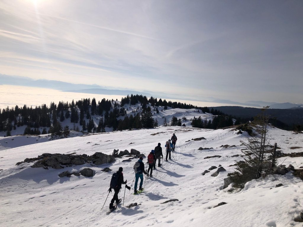 Groupe en raquettes de dos sur une crête enneigée du Jura, au-dessus d'une mer de nuages.
